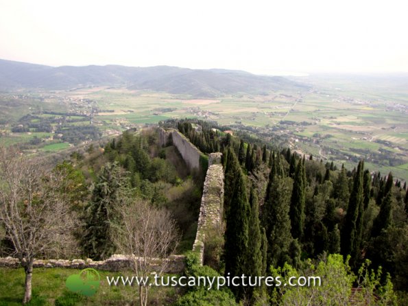 Cortona