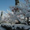 chianti_under_the_snow_03