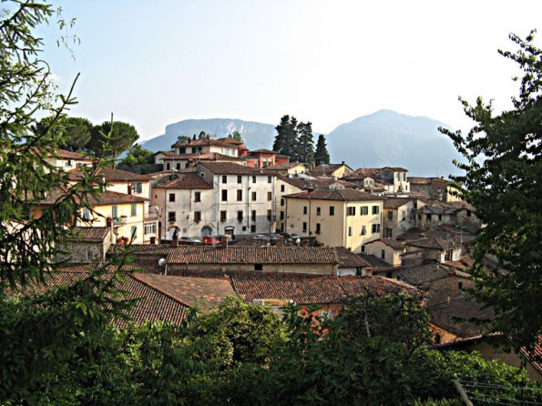 barga36