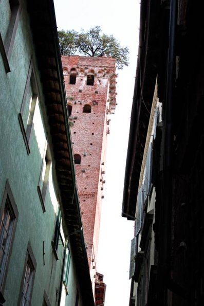 torre-guinigi-lucca