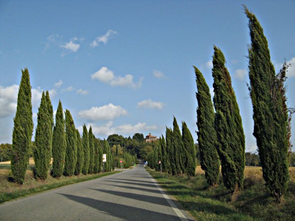 san_galgano02