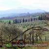 Val d'Orcia