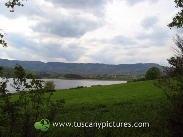 Lago di Bilancino