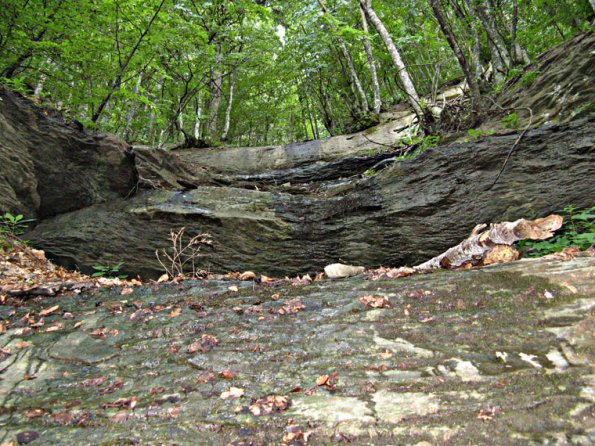 campigna-casentino05