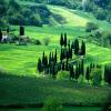 Italy, Tuscany, Chianti, Baccaiano near Florence, 2001