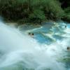 Europe, Italy, Tuscany,Maremma area, Saturnia