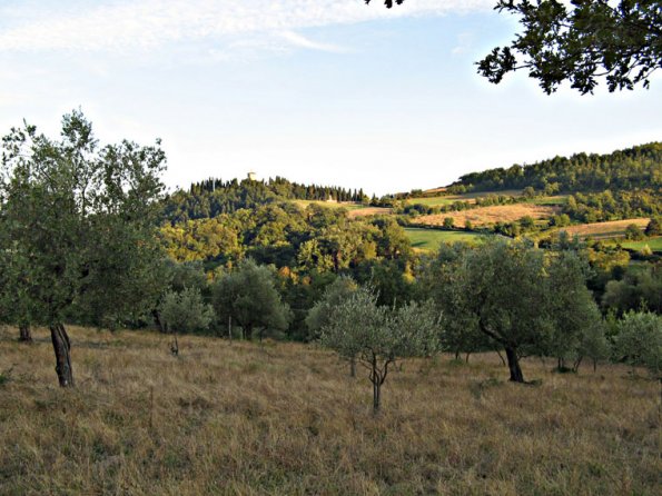 panorama_trebbio2