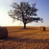 Europe, Italy, Val d'Orcia