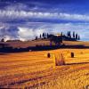 Europe, Italy, Val d'Orcia